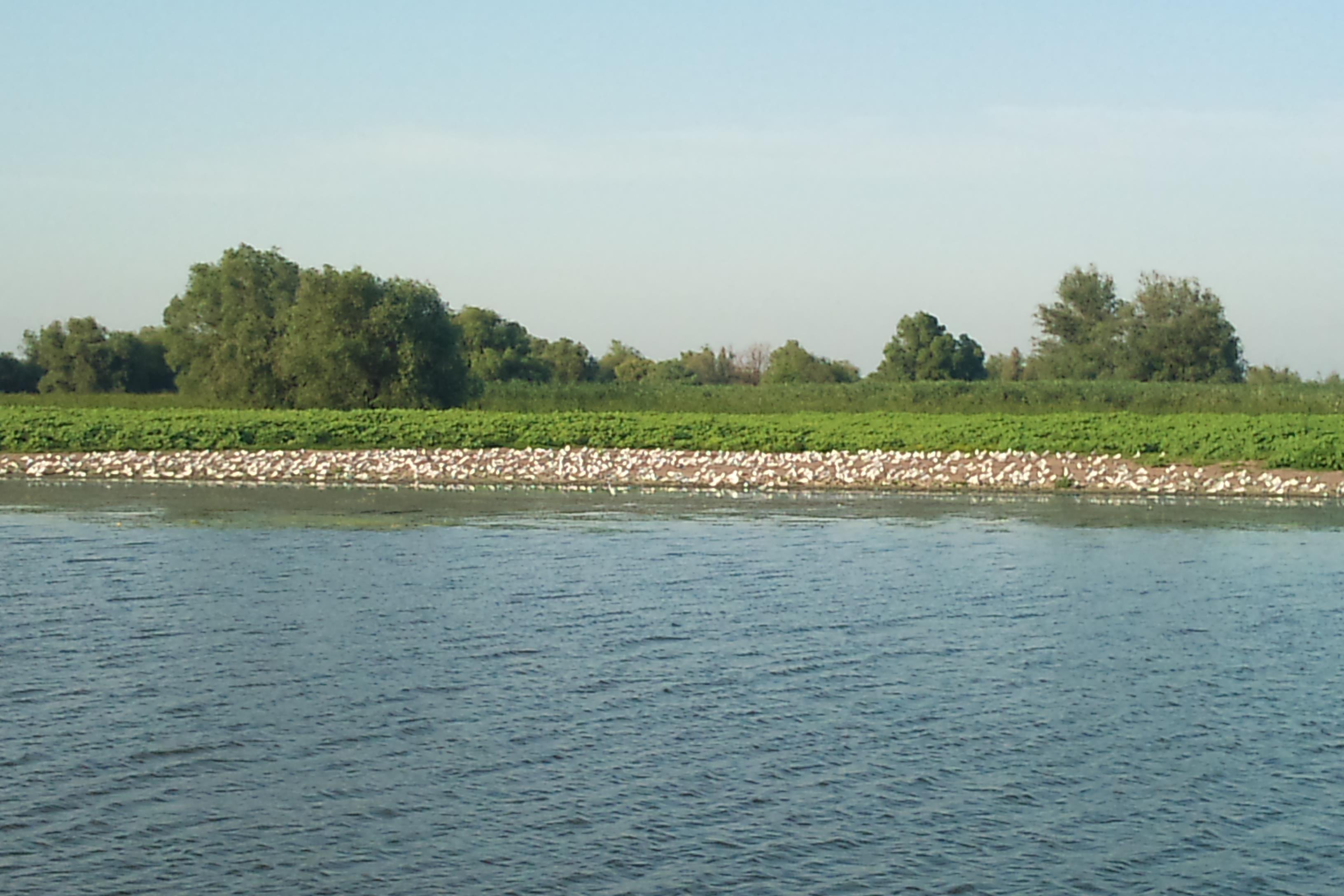 DELTA 2011  MILA 23 - DSC00141.JPG